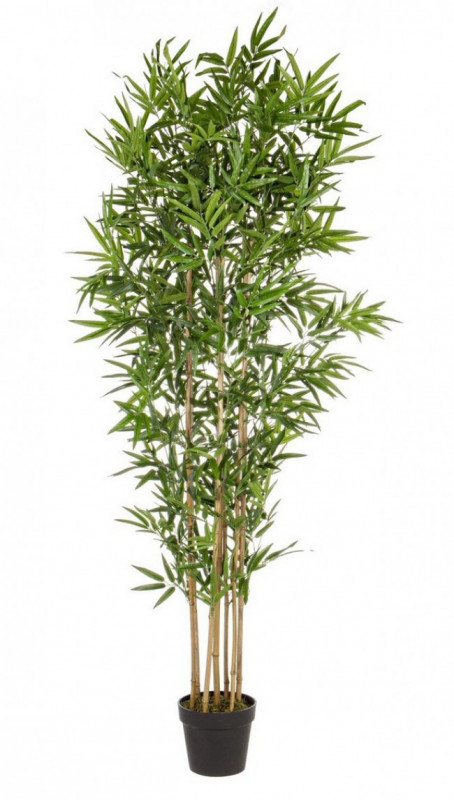 Planta artificiala decorativa cu ghiveci, 185 cm, Bamboo Bizzotto