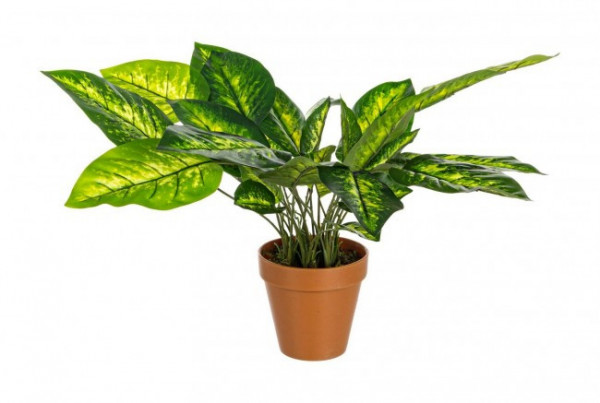 Planta artificiala decorativa cu ghiveci, 45 cm, Dieffenbachia Bizzotto