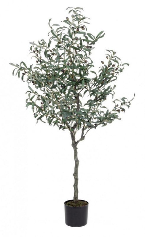 Planta artificiala decorativa cu ghiveci, 150 cm, Olive Bizzotto - Img 1