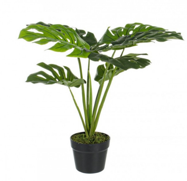 Planta artificiala decorativa cu ghiveci, 60 cm, Philodendron Bizzotto