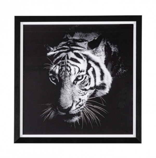 Tablou decorativ negru/alb din MDF si plastic, 43x3,2x43 cm, Dovada Tiger Bizzotto