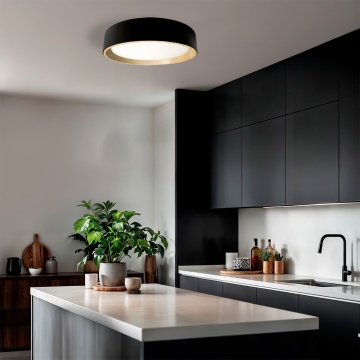 Plafoniera LED 64W, ø492 mm, Negru + Fag, Rigel, Kelektron – imagine de ansamblu a produsului