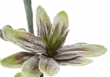 Floare artificiala din plastic si metal, ø 25 x H98 cm, Magnolia C Mauro Ferreti - Img 4