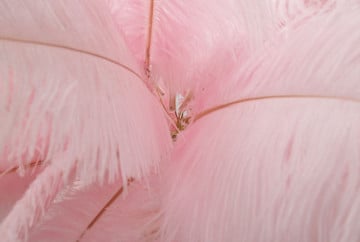 Lampadar roz din metal si plastic, soclu E14, max 40W, Ø 55 cm, Palm Mauro Ferreti - Img 3