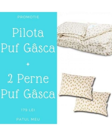 Set Pilota + 2 Perne din Puf de Gâscă, PRO-001 – imagine de catalog suplimentară