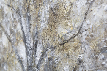 Tablou decorativ maro din panza si lemn de pin, 140 x 3,8 x 70 cm, Tree Dark Mauro Ferreti - Img 4