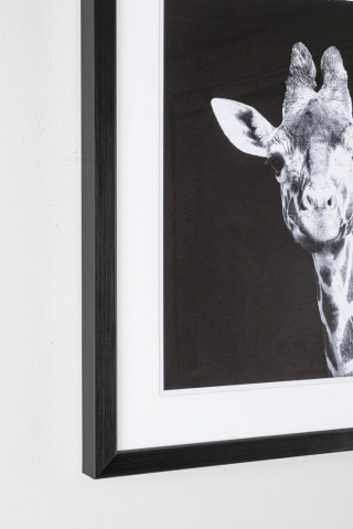 Tablou decorativ negru/alb din MDF si plastic, 49x3,2x49 cm, Dovada Giraffe Bizzotto - Img 2