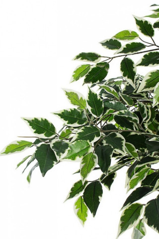 Planta artificiala decorativa cu ghiveci, 120 cm, Ficus-2 Bizzotto - Img 2