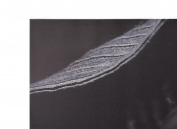 Tablou decorativ gri / negru din lemn de brad si panza, 120 x 3,8 x 80 cm, Lady Hat Mauro Ferreti - Img 2