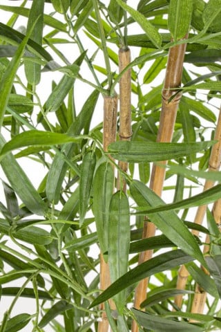 Planta artificiala decorativa cu ghiveci, 155 cm, Bamboo Bizzotto - Img 2