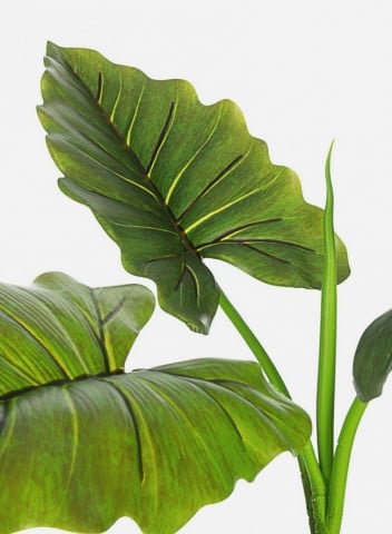 Planta artificiala decorativa cu ghiveci, 78 cm, Dieffenbachia Bizzotto - Img 2