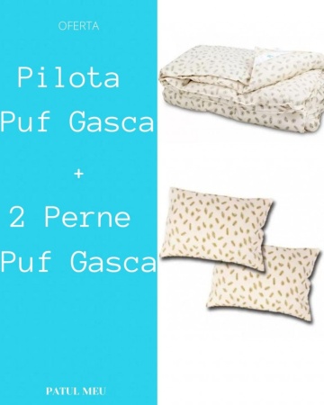 Set Pilota + 2 Perne din Puf de Gâscă, PRO-001 – prezentare de produs din alt cadru
