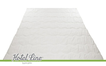 Pilota Green Future Hotel Line 200x220 cm, 250g/mp - Img 3