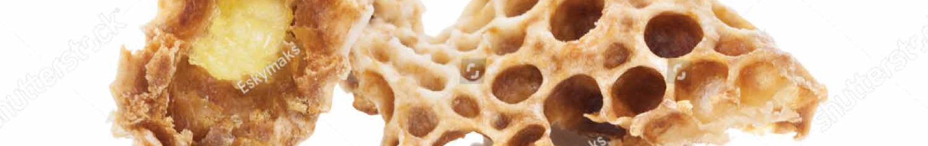 Lactium