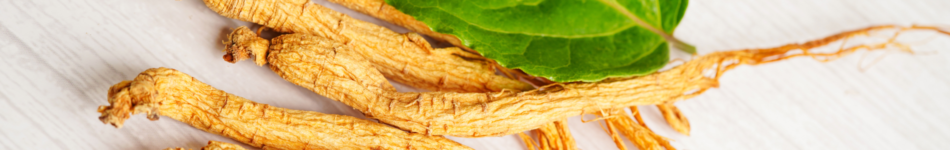 Ginseng coreean