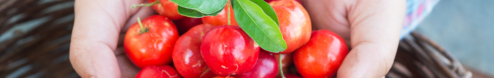 Acerola
