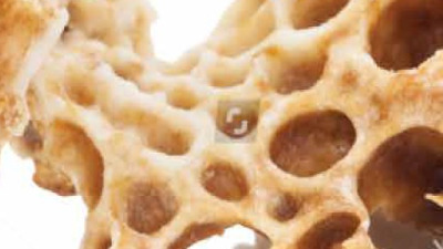 Lactium