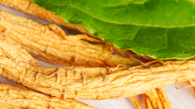 Ginseng coreean