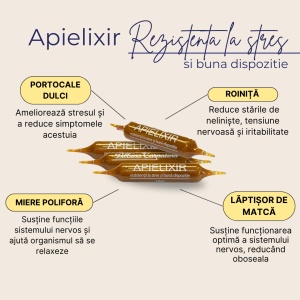 Apielixir rezistență la stres și bună dispoziție 10 fiole - Img 6