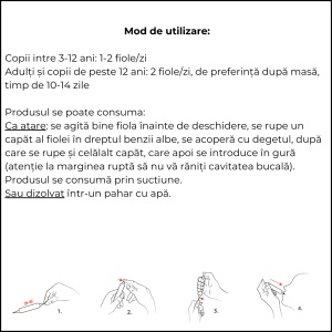 Apielixir sănătatea căilor respiratorii 20 fiole x 10ml - Img 4