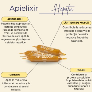 Apielixir Hepatic 30 de fiole - Img 3