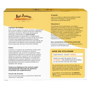 ApiJunior Tonic Imunitate Copii 30 fiole - Img 3