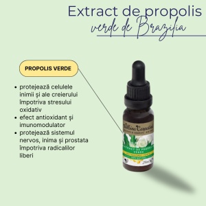 Extract de propolis verde de Brazilia 20ml - Img 6