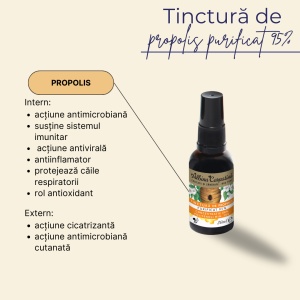 Tinctură de propolis purificat 95% 30ml - Polifenoli min. 15% - Img 3