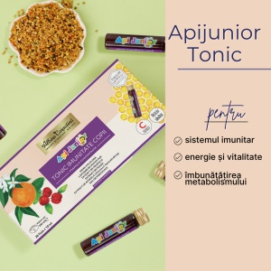 Apijunior Tonic imunitate copii 10 fiole x 10 ml - Img 2