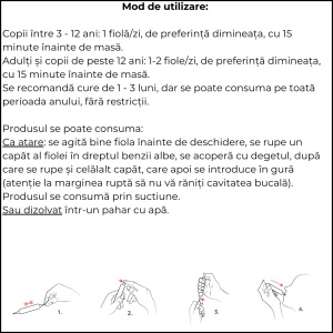 Apijunior Tonic imunitate copii 10 fiole x 10 ml - Img 5