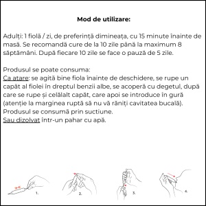 Apielixir imunitate forte 20 fiole x 10ml - Img 4