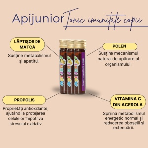 Pachet Apijunior Tonic imunitate 20 + 10 fiole x 10 ml - Img 3