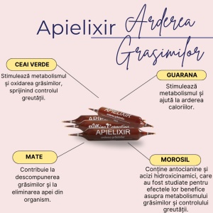 Apielixir Arderea grăsimilor 30 de fiole - Img 3
