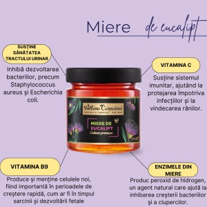 Miere de eucalipt 270g - Img 3