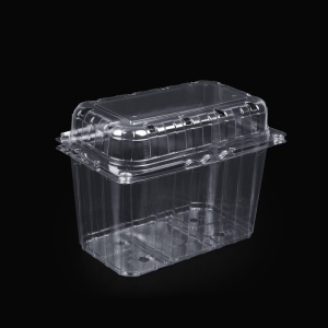 Set 800 buc Caserola Fructe 375 gr Capac Atasat - Img 1