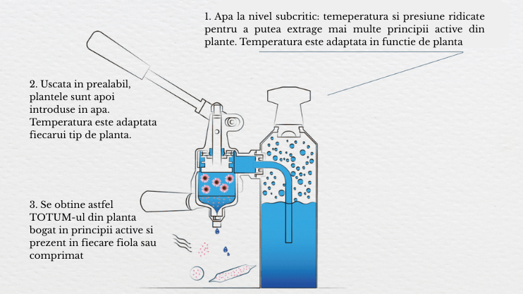 obtinere TOTUM din planta