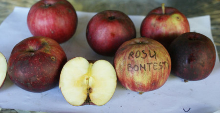 Măr Roșu de Bonțești
