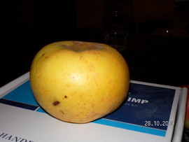 Măr Poinic
