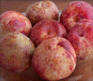 Prun-cais Dapple Dandy PL