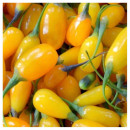 Goji Amber Sweet Goji® (la ghiveci 2l) - Img 3