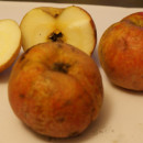 Măr Renet de Orleans