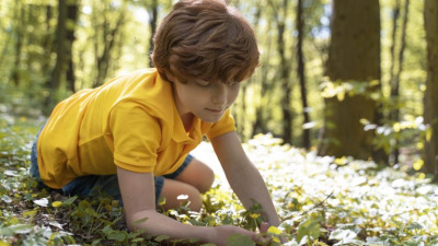 5 idei de activități pentru copii care iubesc natura