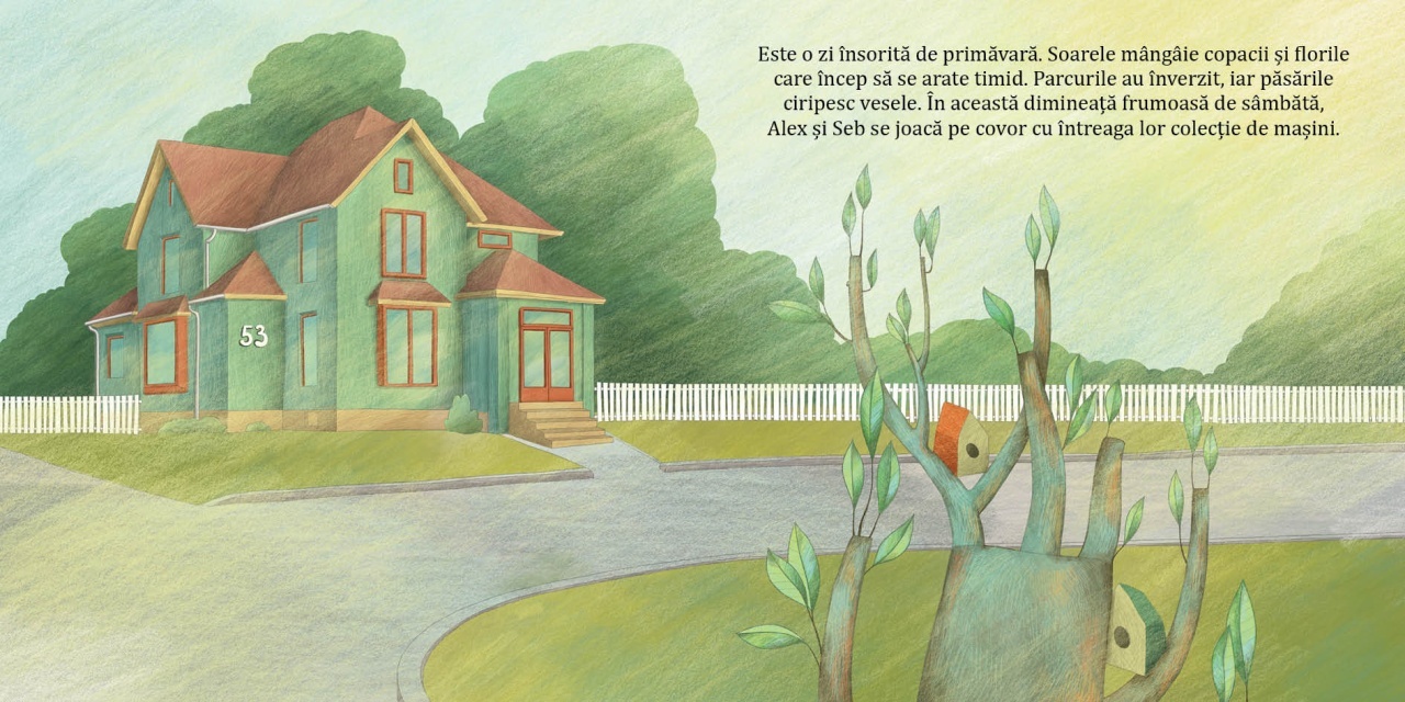 Alex si Seb in cautarea masinii perfecte - imagine 3