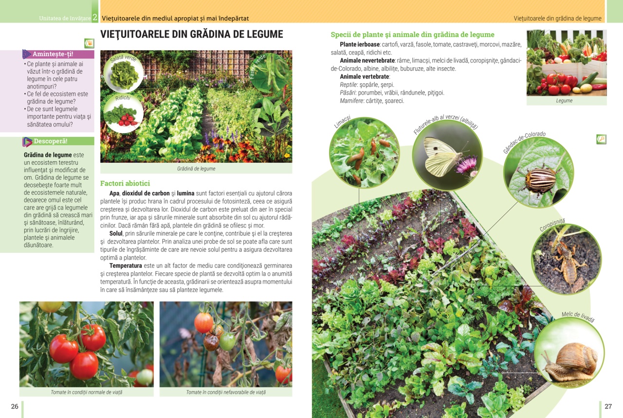 Biologie: Manual pentru clasa a V-a - imagine 4