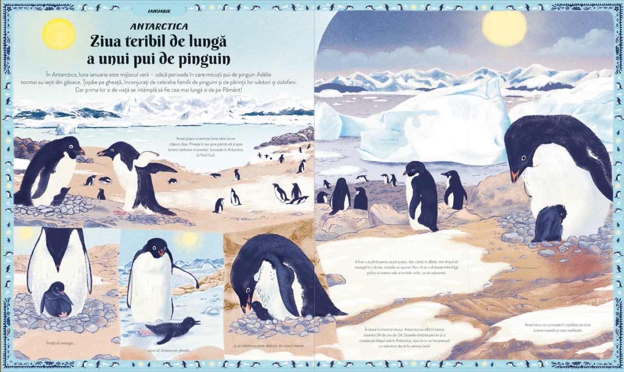 Cartea anotimpurilor - O calatorie prin natura fascinanta a lumii - imagine 5