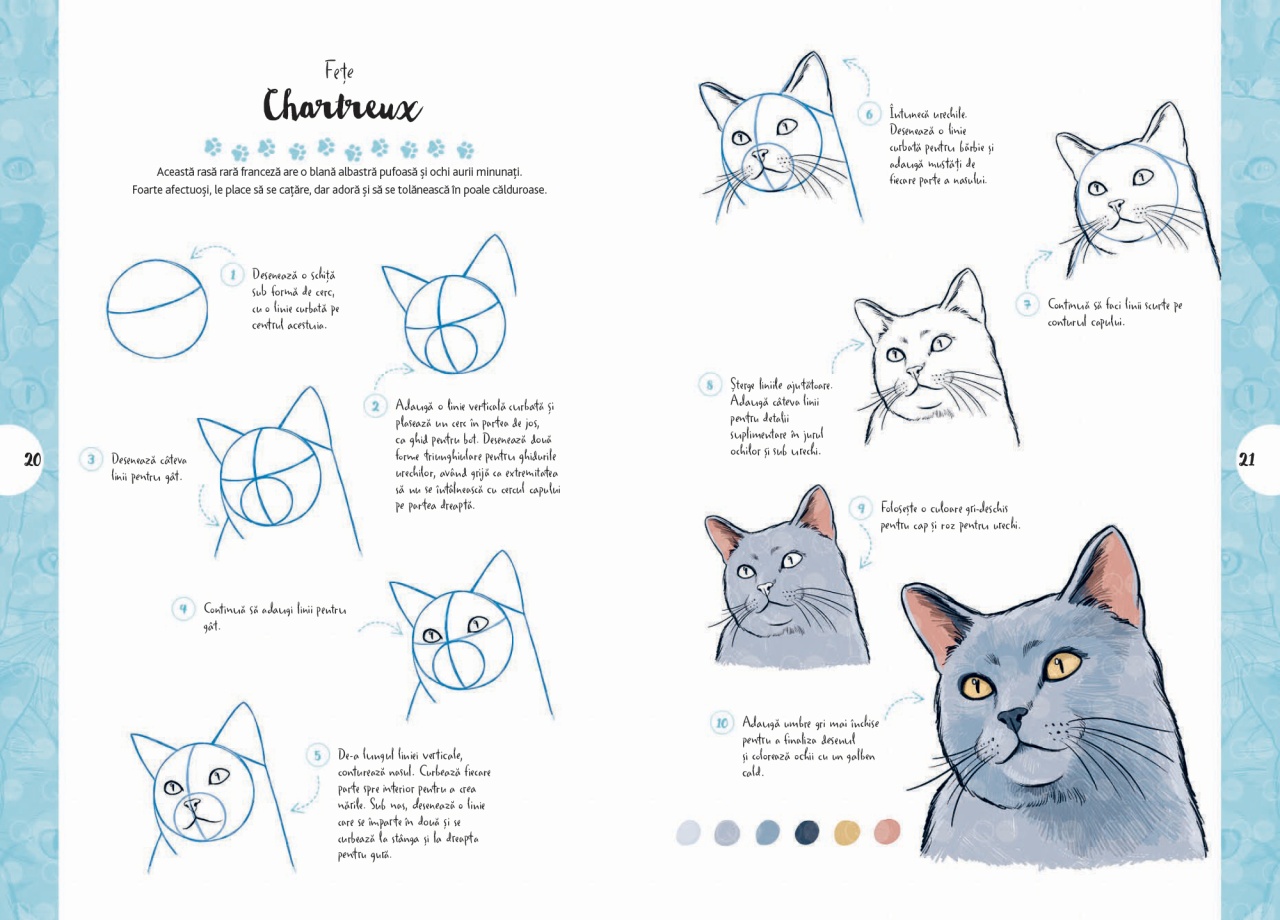 Desen in 10 pasi. Pisici - imagine 8