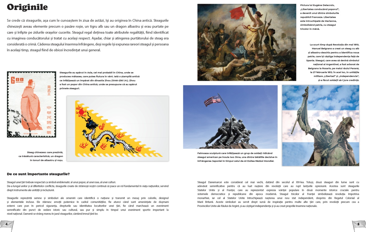 Steagurile lumii - imagine 3