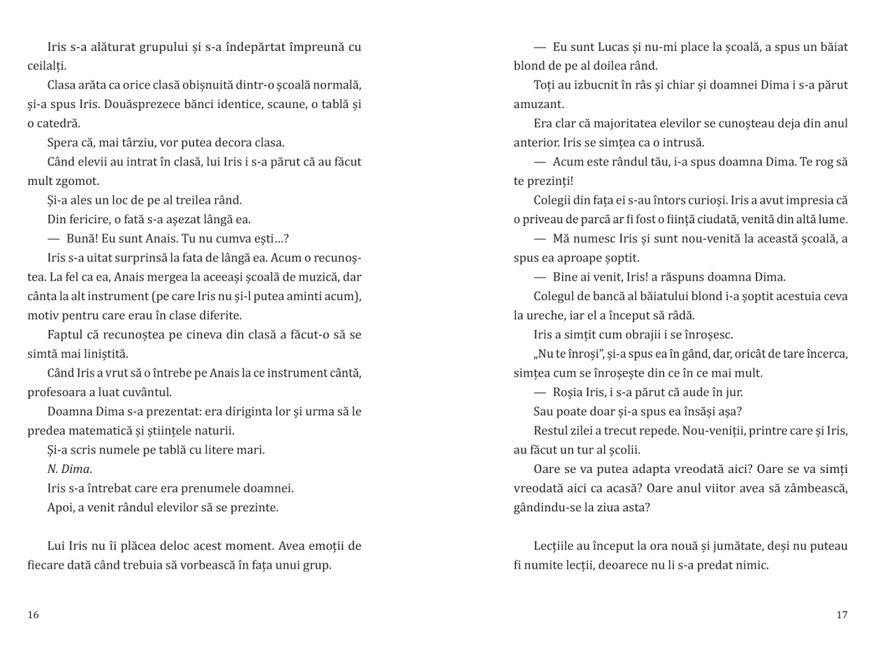 Umbre in curtea scolii - imagine 6