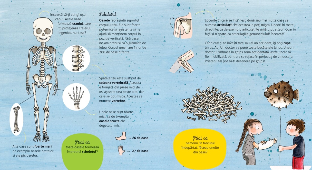 Vreau sa stiu: Cum functioneaza corpul meu - imagine 3