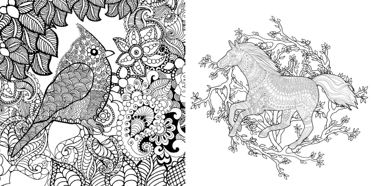 Animale si magie - Carte de colorat - imagine 4